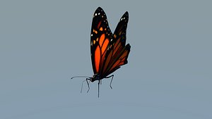 3d model monarch butterfly animations rig