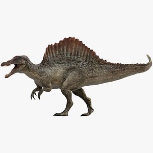 Spinosaurus (Rigged)