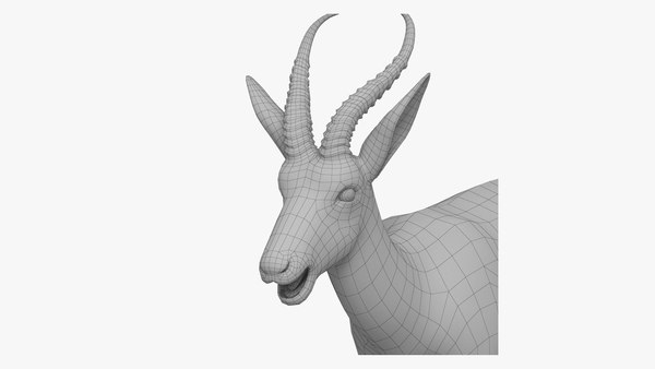 3D модель Springbok - TurboSquid 2063847