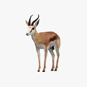 Antelope 3D Studio Models for Download | TurboSquid