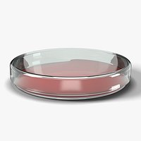 Petri Dish 90 mm with Lid and Agar - Laboratory Glassware