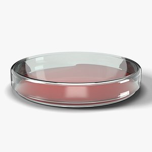 Petri Dish 90 mm with Lid and Agar - Laboratory Glassware