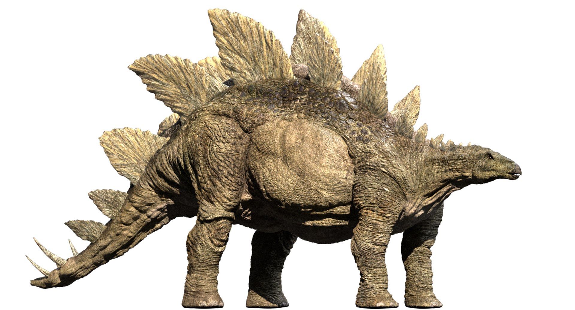 3D  model https://p.turbosquid.com/ts-thumb/D4/y7RM8f/9brnEcmJ/11/jpg/1548200643/1920x1080/fit_q87/8a0af856f3270af7fce28e49e7fb344c61702726/11.jpg