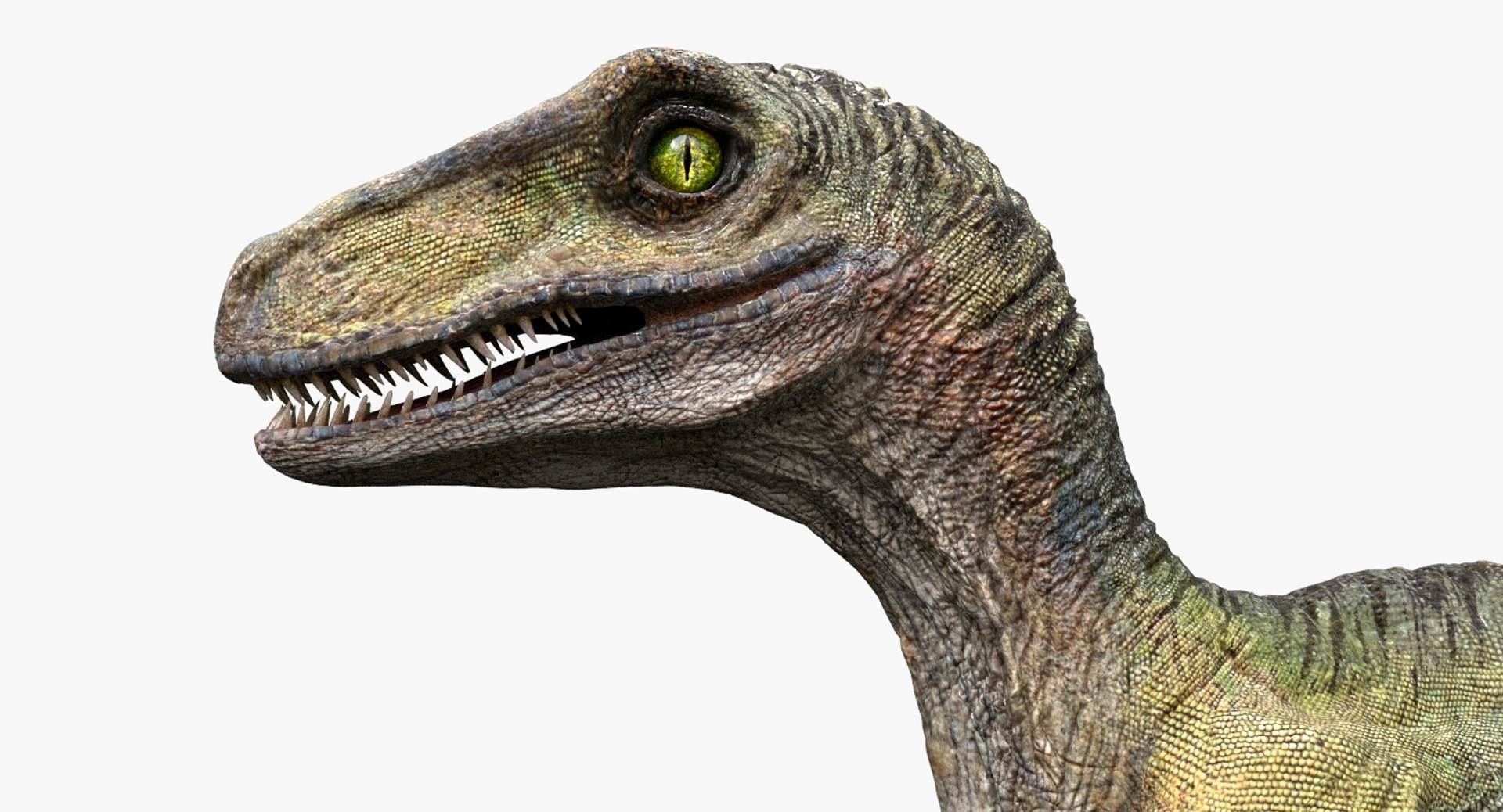 3D  model https://p.turbosquid.com/ts-thumb/D4/y7RM8f/BnmaTRF1/19/jpg/1548200643/1920x1080/fit_q87/de3c304b2b5ac9e6cc4a797197bd8f138bc56629/19.jpg