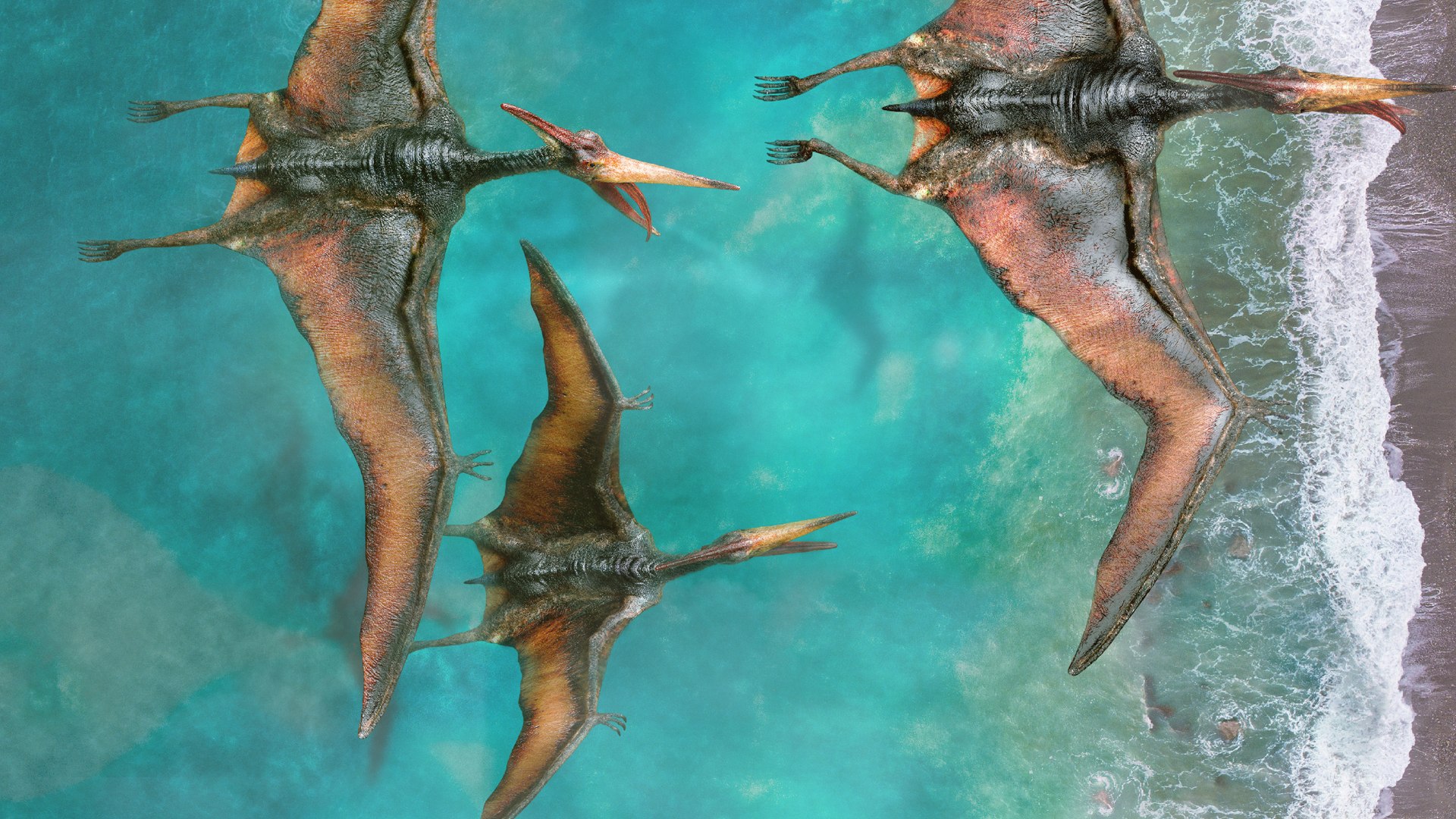 3D  model https://p.turbosquid.com/ts-thumb/D4/y7RM8f/E9iSxQsd/19/jpg/1569222885/1920x1080/fit_q87/59d8fc0f27d7fc600070d487fd8ab056985869ff/19.jpg