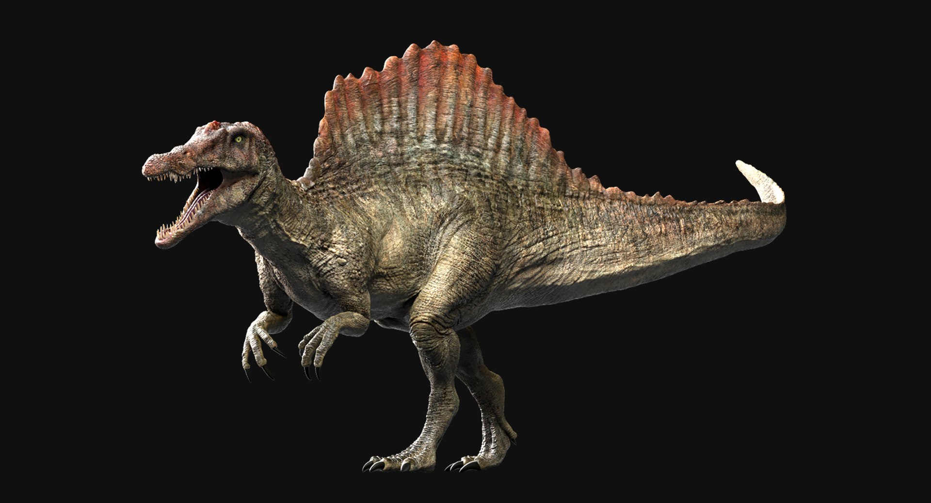 3D  model https://p.turbosquid.com/ts-thumb/D4/y7RM8f/EstdyrXZ/24/jpg/1548200643/1920x1080/fit_q87/d9edbe02a005803b4e4c00be62fbf1f29ba55158/24.jpg