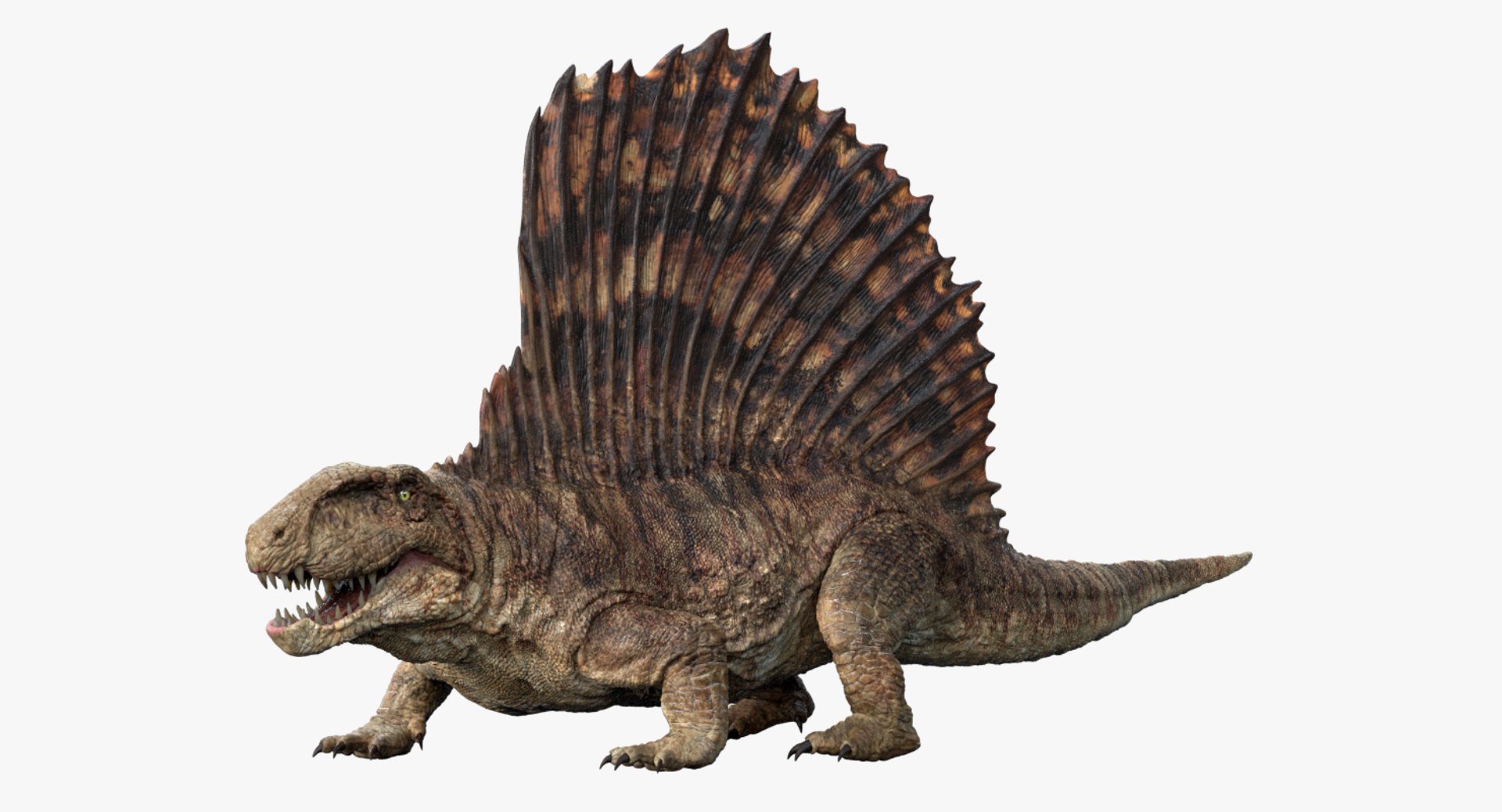 3D  model https://p.turbosquid.com/ts-thumb/D4/y7RM8f/Fgxv7Np8/83/jpg/1548201157/1920x1080/fit_q87/ec5914a3240524a979dc0ff6deae3a8a81dab949/83.jpg