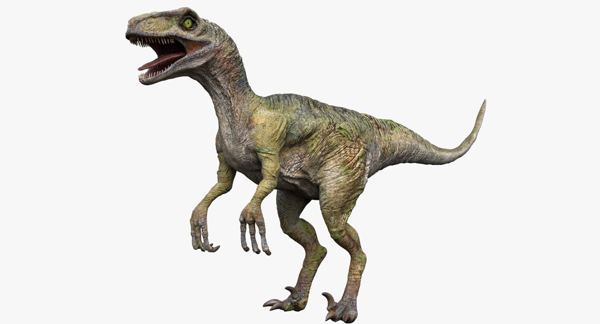 3D  model https://p.turbosquid.com/ts-thumb/D4/y7RM8f/Fyznr5n1/16/jpg/1548200643/1920x1080/fit_q87/dfa04c304cb0a0ed3d414305f2283b6623421f4f/16.jpg