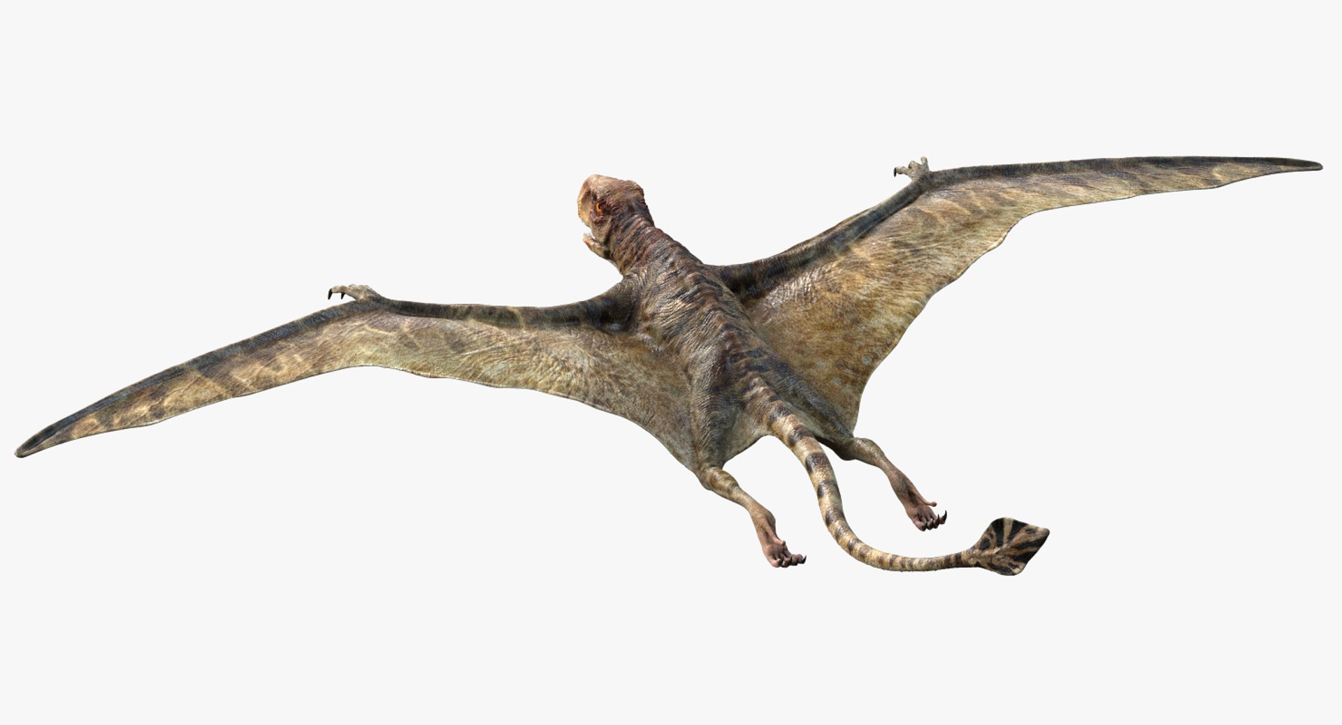 3D  model https://p.turbosquid.com/ts-thumb/D4/y7RM8f/JDYVk9eL/94/jpg/1548201278/1920x1080/fit_q87/39f33b115ea43faaa732c0d954e1f36d1aed51fa/94.jpg