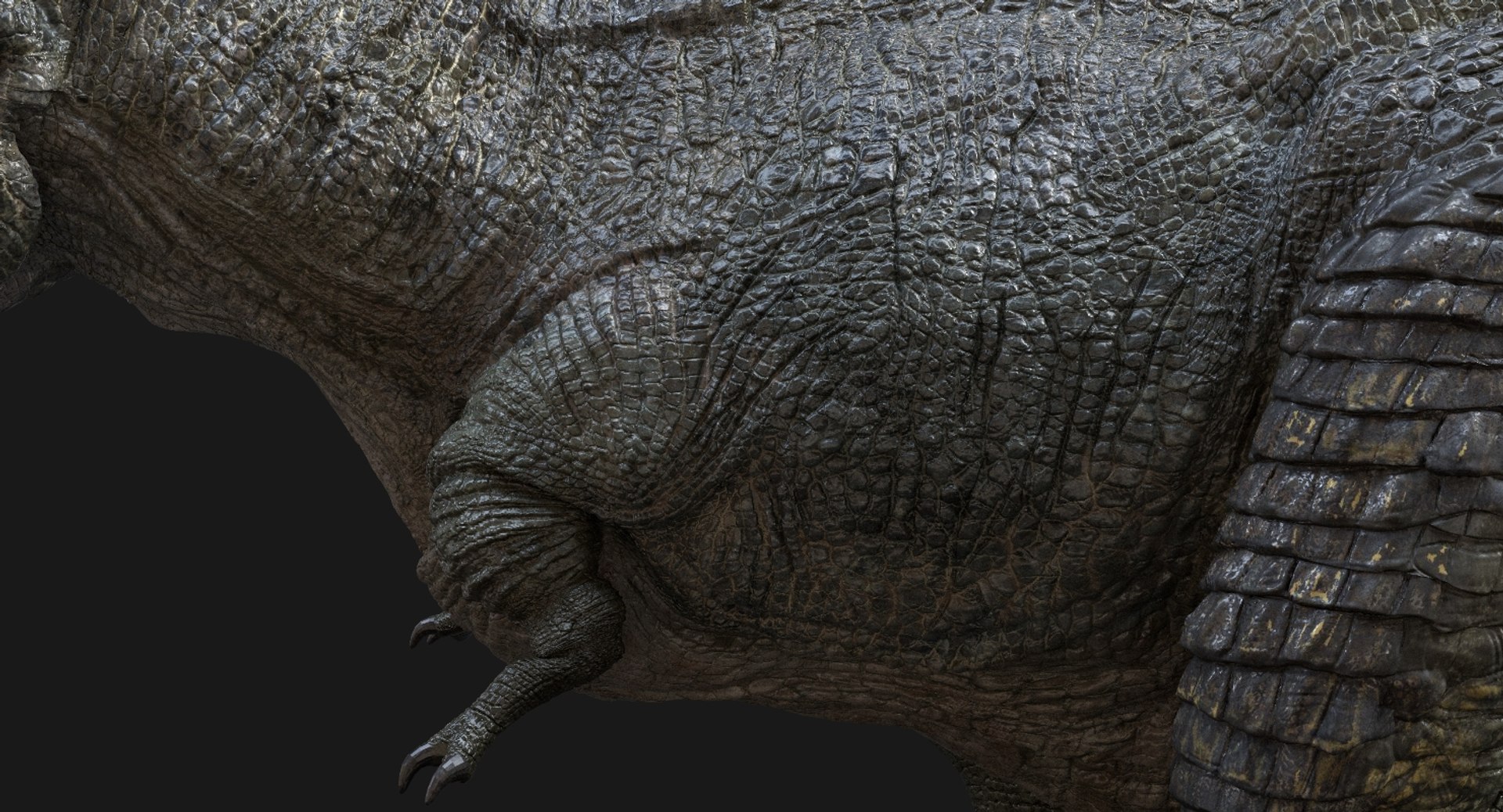 3D  model https://p.turbosquid.com/ts-thumb/D4/y7RM8f/OFbHspAb/44/jpg/1548201094/1920x1080/fit_q87/8d4f0f560ec9e10ca5f65d5f6ef4b15bbe4135fc/44.jpg