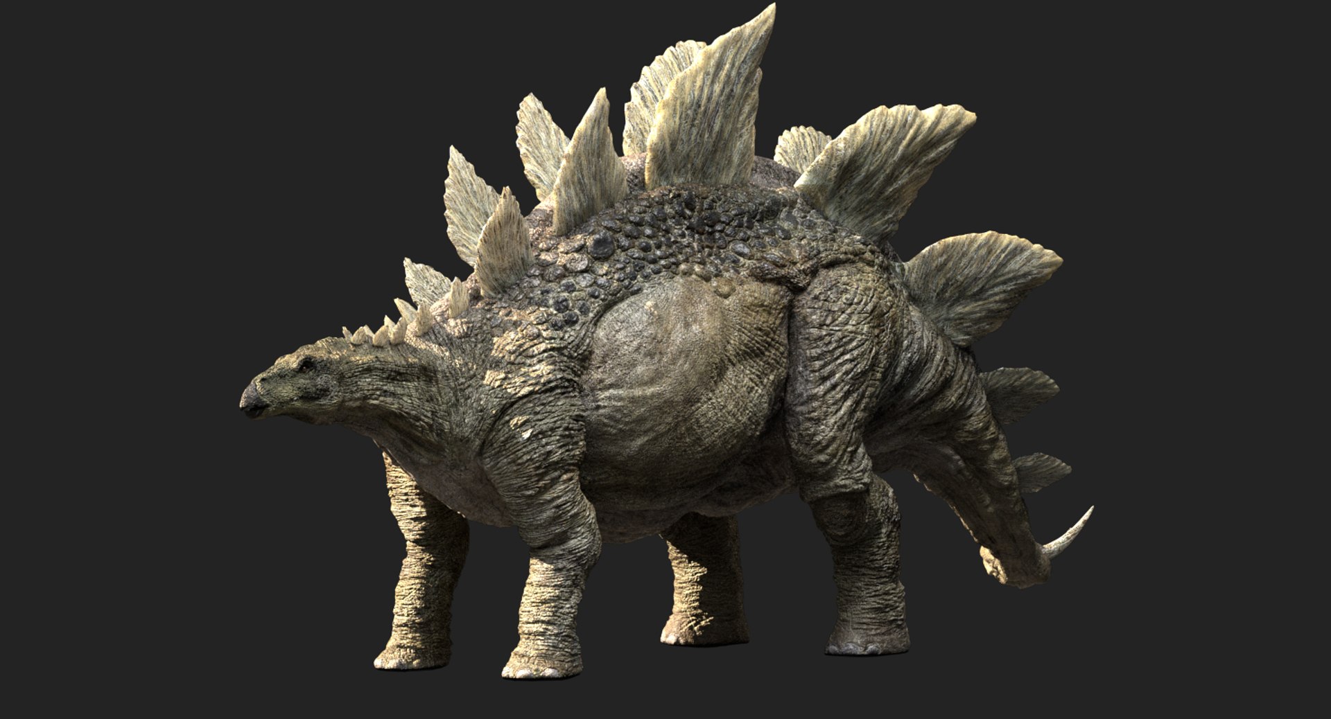 3D  model https://p.turbosquid.com/ts-thumb/D4/y7RM8f/PYsHaYV4/08/jpg/1548200643/1920x1080/fit_q87/5d9dbe69482cb3a878aceaeb9fc6bd3139068a1b/08.jpg