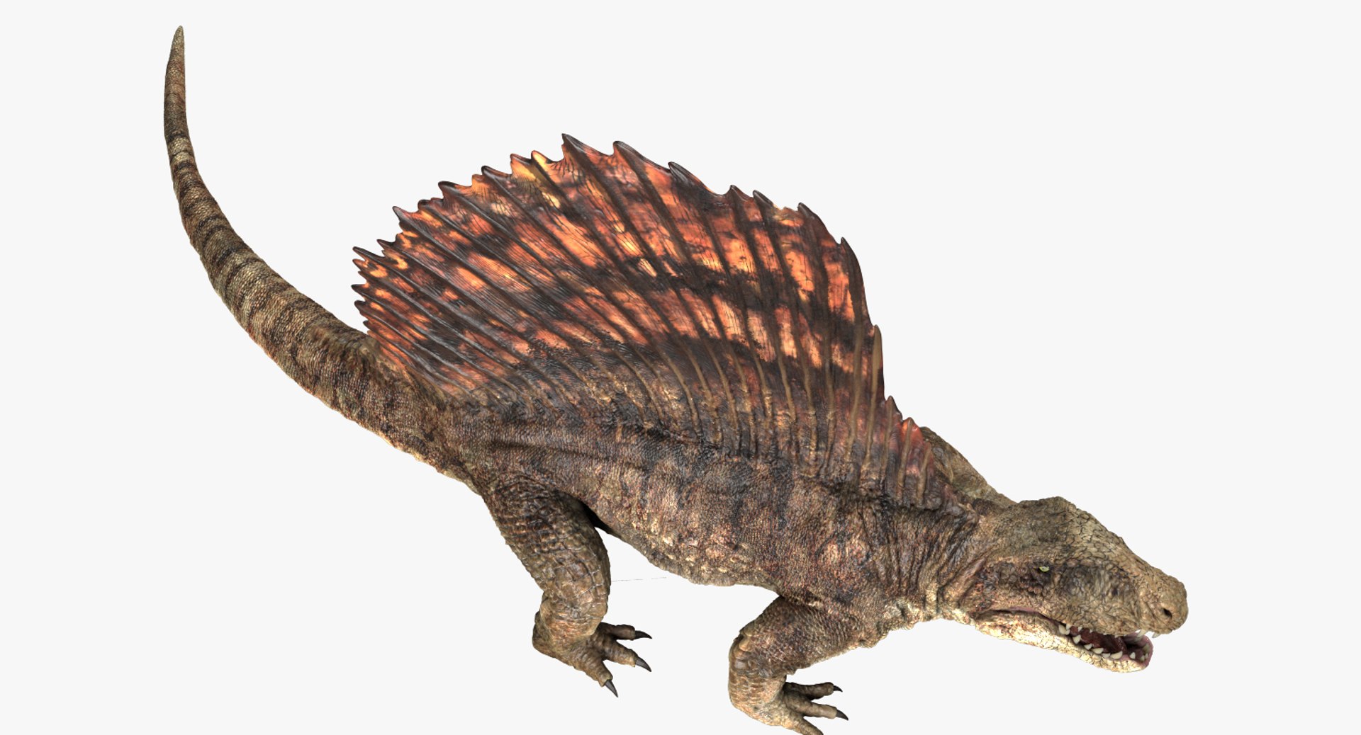 3D  model https://p.turbosquid.com/ts-thumb/D4/y7RM8f/ZfCLYnCt/84/jpg/1548201157/1920x1080/fit_q87/d0b849f19c096501863c092d4a81342328d8c997/84.jpg