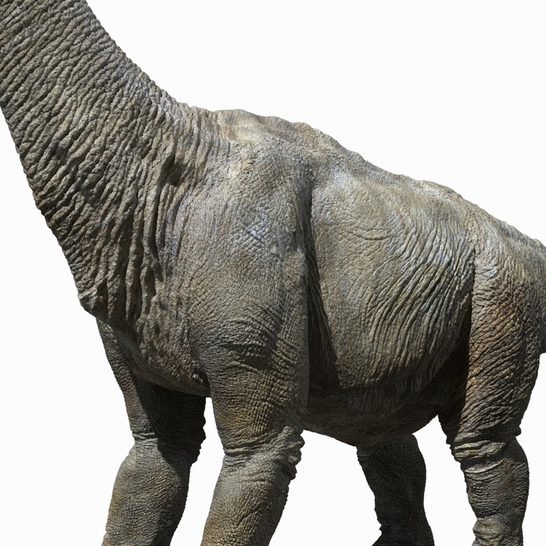 3D  model https://p.turbosquid.com/ts-thumb/D4/y7RM8f/d2FR4r5q/62/jpg/1548201157/1920x1080/fit_q87/6d91d9614df46a37f38e897f4e2b25adb0f6a549/62.jpg