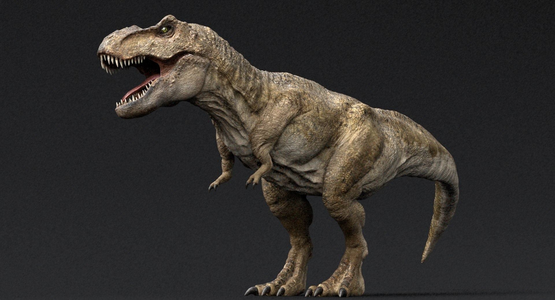 3D  model https://p.turbosquid.com/ts-thumb/D4/y7RM8f/f7lXkN9q/01/jpg/1548200642/1920x1080/fit_q87/2b69d5ae73c30b0ddc0a396e73828f3d60702ed1/01.jpg