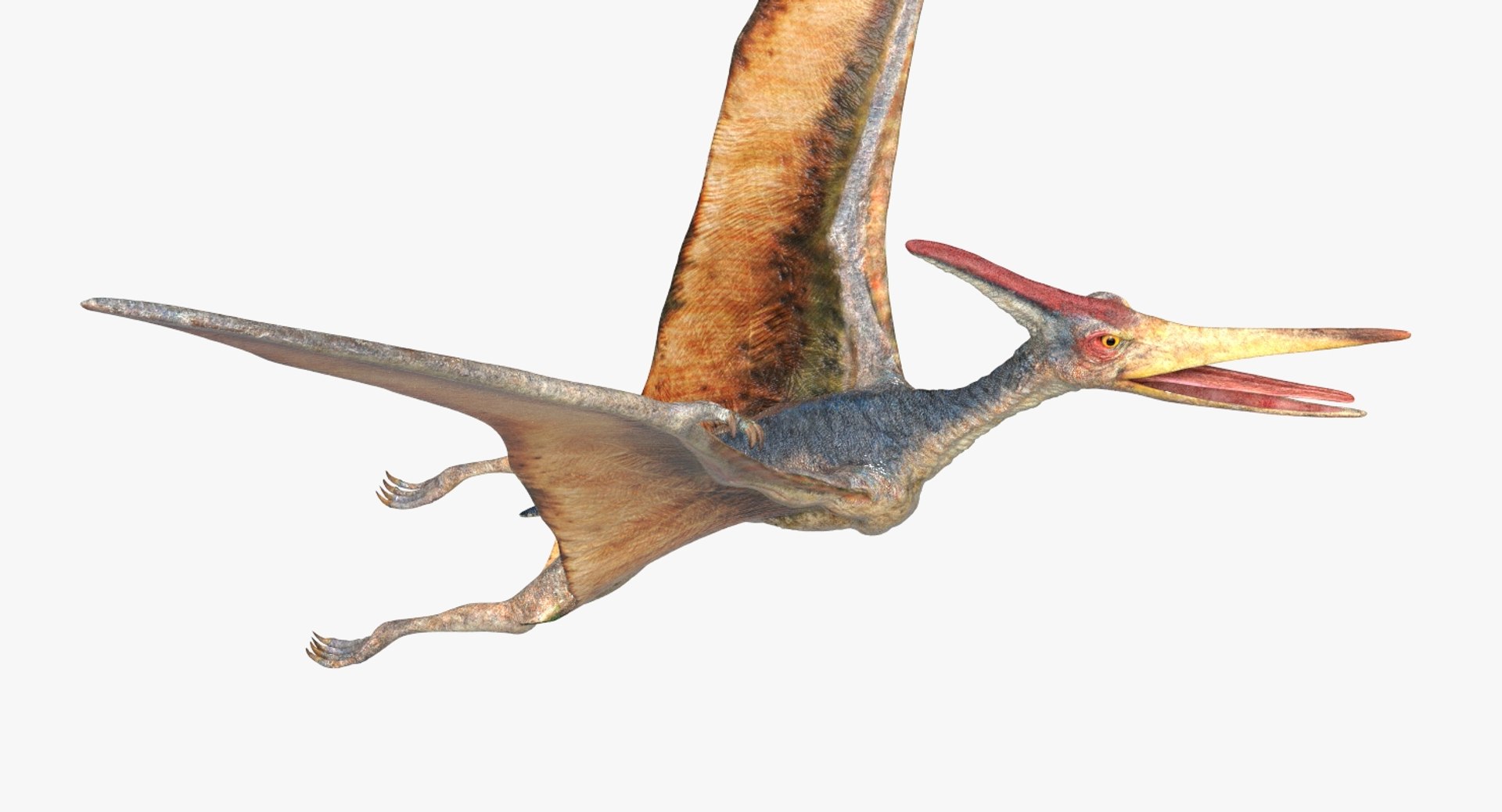 3D  model https://p.turbosquid.com/ts-thumb/D4/y7RM8f/lNk9YmpW/34/jpg/1548200779/1920x1080/fit_q87/5fc7290319eab13d228aee8e06cb567378a89ced/34.jpg