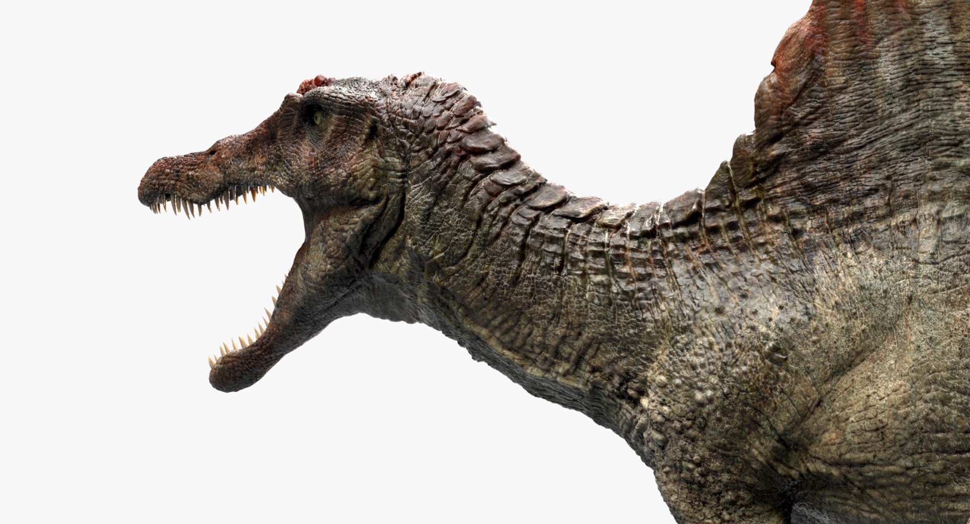 3D  model https://p.turbosquid.com/ts-thumb/D4/y7RM8f/tIZ3MxOL/27/jpg/1548200779/1920x1080/fit_q87/80d69ad74e960c4e513c36a94ed4789c37013608/27.jpg