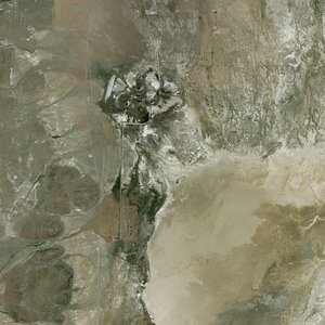 mesh fly geyser 3D model