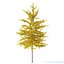 Arbre Ginkgo biloba 12m