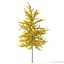 Arbre Ginkgo biloba 12m
