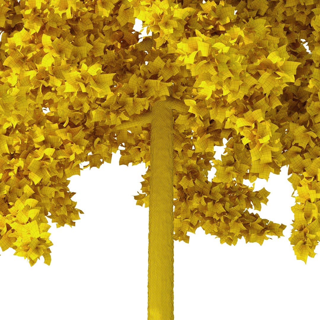 3D ginkgo biloba tree plants https://p.turbosquid.com/ts-thumb/D5/76iVeY/n4/mediumgrid/jpg/1606333688/1920x1080/fit_q87/228c7552e8ca759186c304ce4164ac473e06e641/mediumgrid.jpg