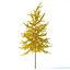 Arbre Ginkgo biloba 12m