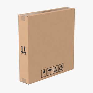 3D Cardboard Box 50x10x50 Closed