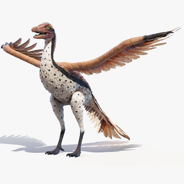 始祖鸟3D模型- TurboSquid 1587666