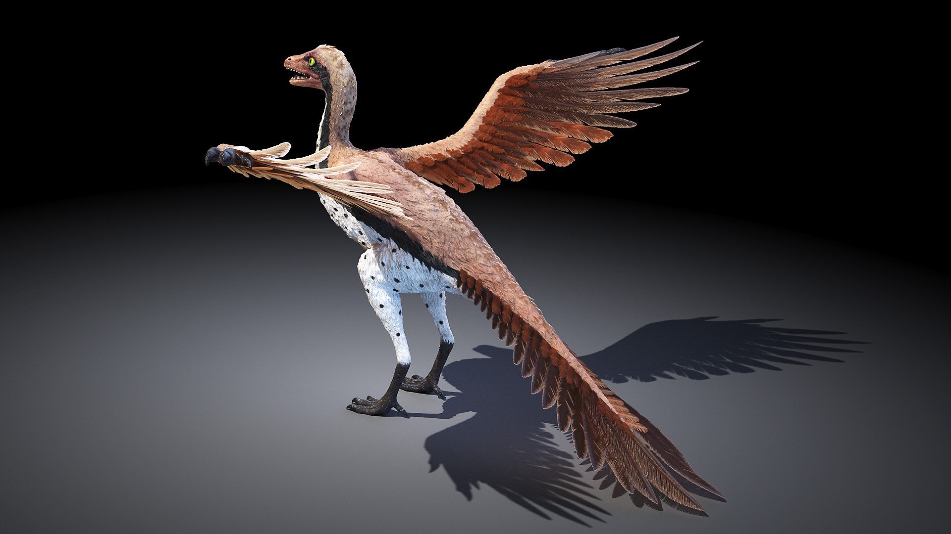 Archaeopteryx 3D Model - TurboSquid 1587666