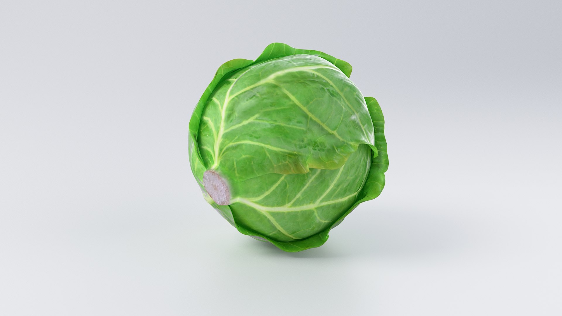 Cartoon Vegetables Collection 1 3D model https://p.turbosquid.com/ts-thumb/D5/CF9Bt8/7S/09_cabbage_02/jpg/1686558805/1920x1080/fit_q87/b9a16afa26b3d7bc7b0a156650a6a61e99fdbac6/09_cabbage_02.jpg