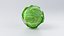 Cartoon Vegetables Collection 1