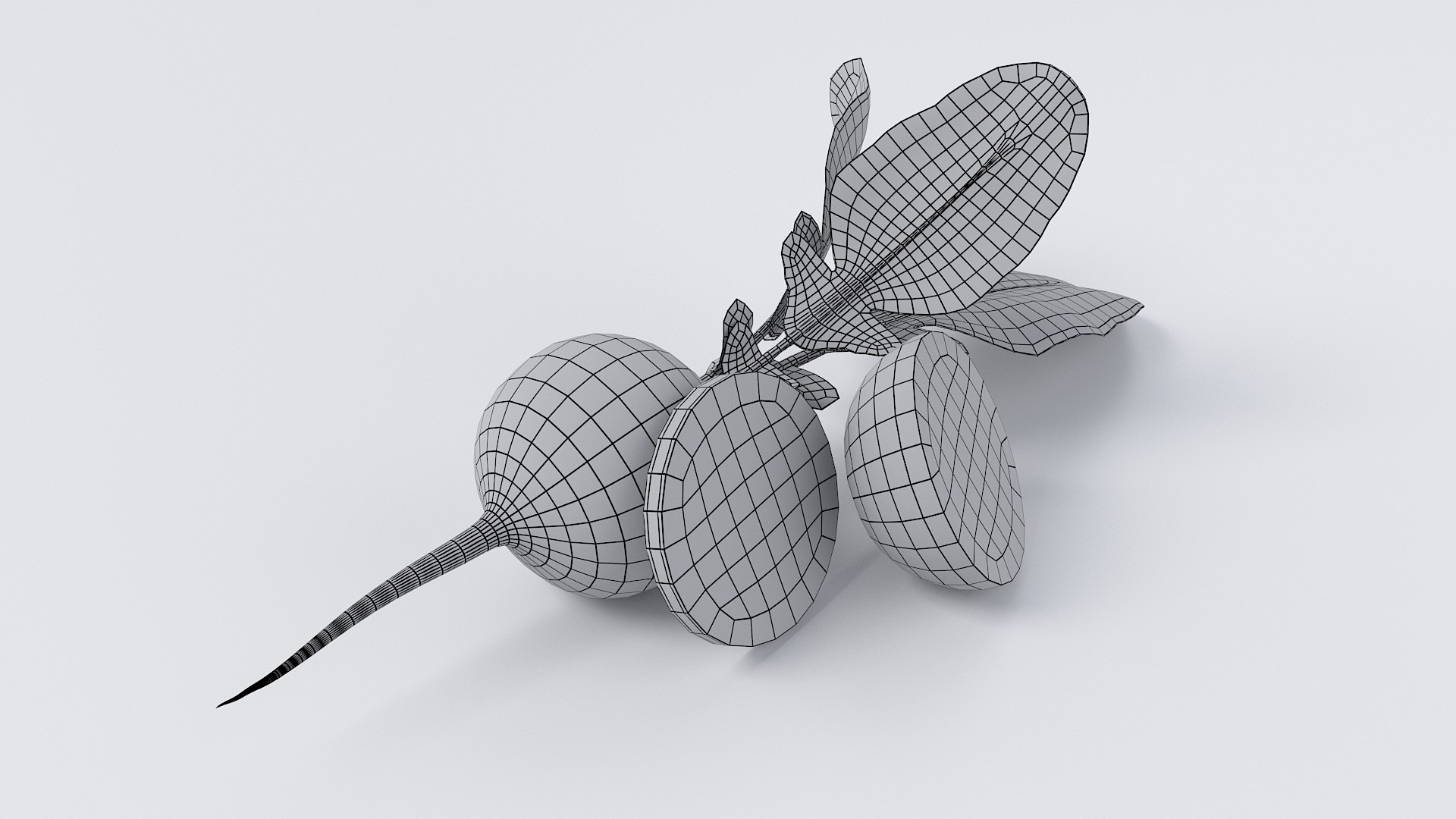 Cartoon Vegetables Collection 1 3D model https://p.turbosquid.com/ts-thumb/D5/CF9Bt8/II/05_red_radish_08/jpg/1686558801/1920x1080/fit_q87/d2192af5dddc9077a054264e80b946650b7a27b3/05_red_radish_08.jpg
