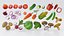 Cartoon Vegetables Collection 1