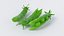 Cartoon Vegetables Collection 1