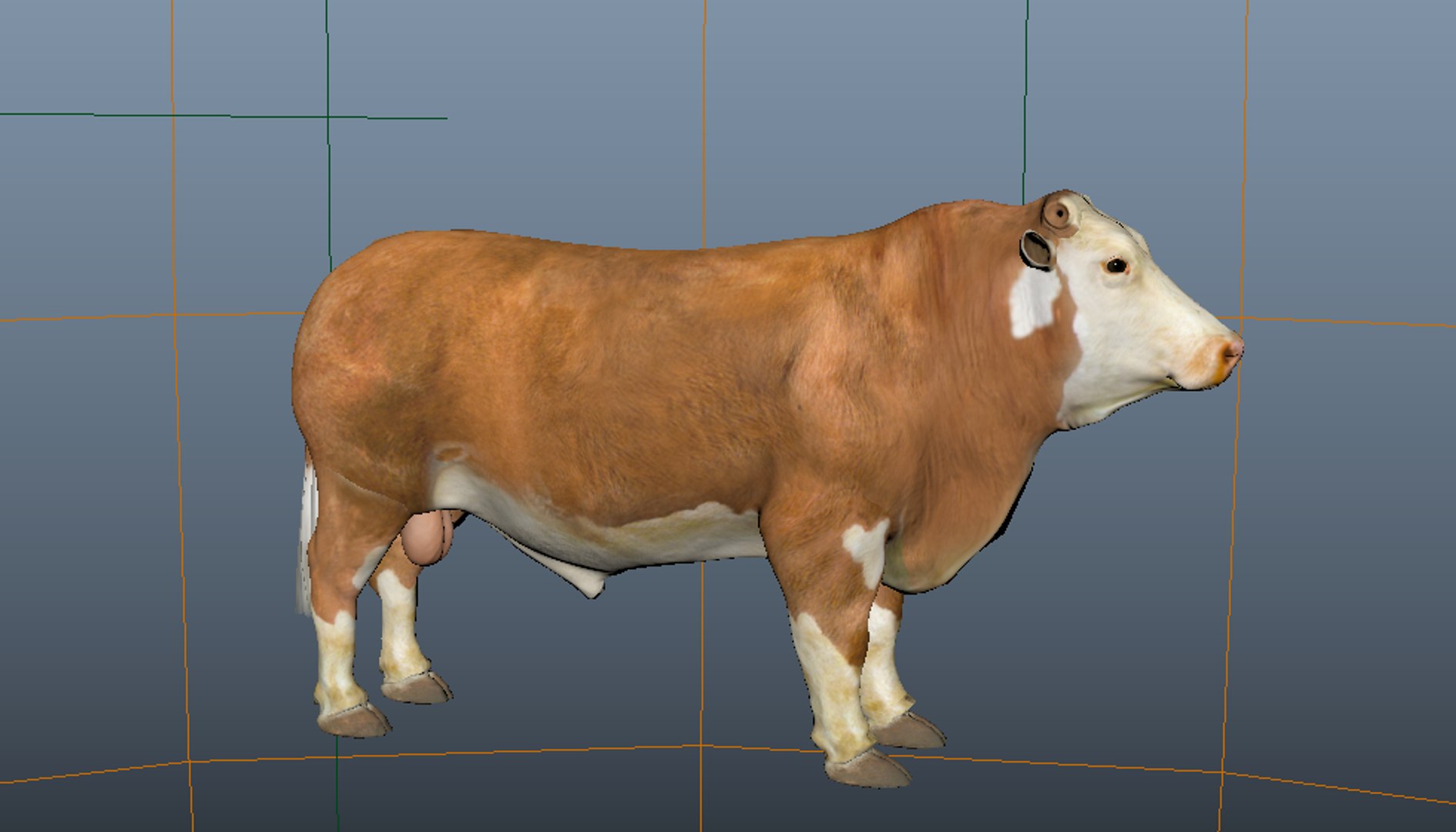 3D Cattle - TurboSquid 1543215