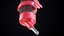 Pet Water Bottle PBR