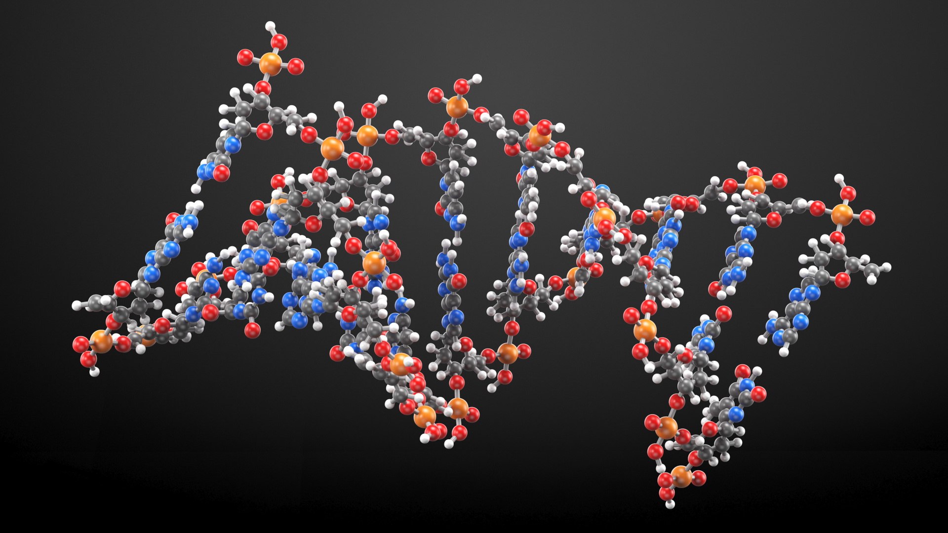 3D DNA Structures Collection model https://p.turbosquid.com/ts-thumb/D5/HE63O9/zw/dna_structures_collection_015/jpg/1730222972/1920x1080/fit_q87/eded1fd85c61cdad738b0bd1d1b5541447ec0437/dna_structures_collection_015.jpg