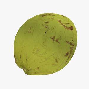 Green Coconut - Real-Time Scanned 3D model