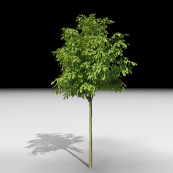tree j3d max