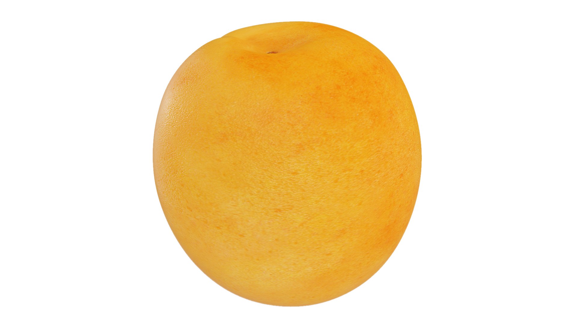 3D Apricot Collection Model - TurboSquid 1956598