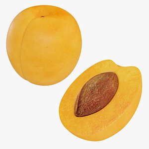 3D Apricot collection model