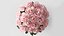 Mazzo di rose
