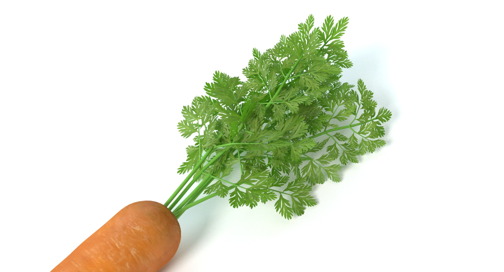 carrot vegetable max https://p.turbosquid.com/ts-thumb/D6/102Wrq/1jEw45zd/thumbnail3/png/1427157759/1920x1080/fit_q87/035f7c2d89bde524f33ebcc47efefa6394558afe/thumbnail3.jpg