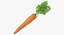 Carota 2