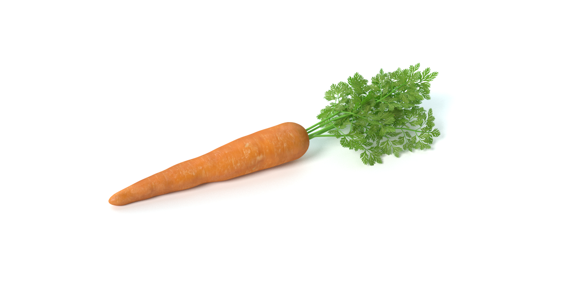 carrot vegetable max https://p.turbosquid.com/ts-thumb/D6/102Wrq/OVQNua4d/images/png/1427157810/1920x1080/turn_fit_q99/45ec0cbaaff92c749078b28c22fe8e47677f75db/images-1.jpg