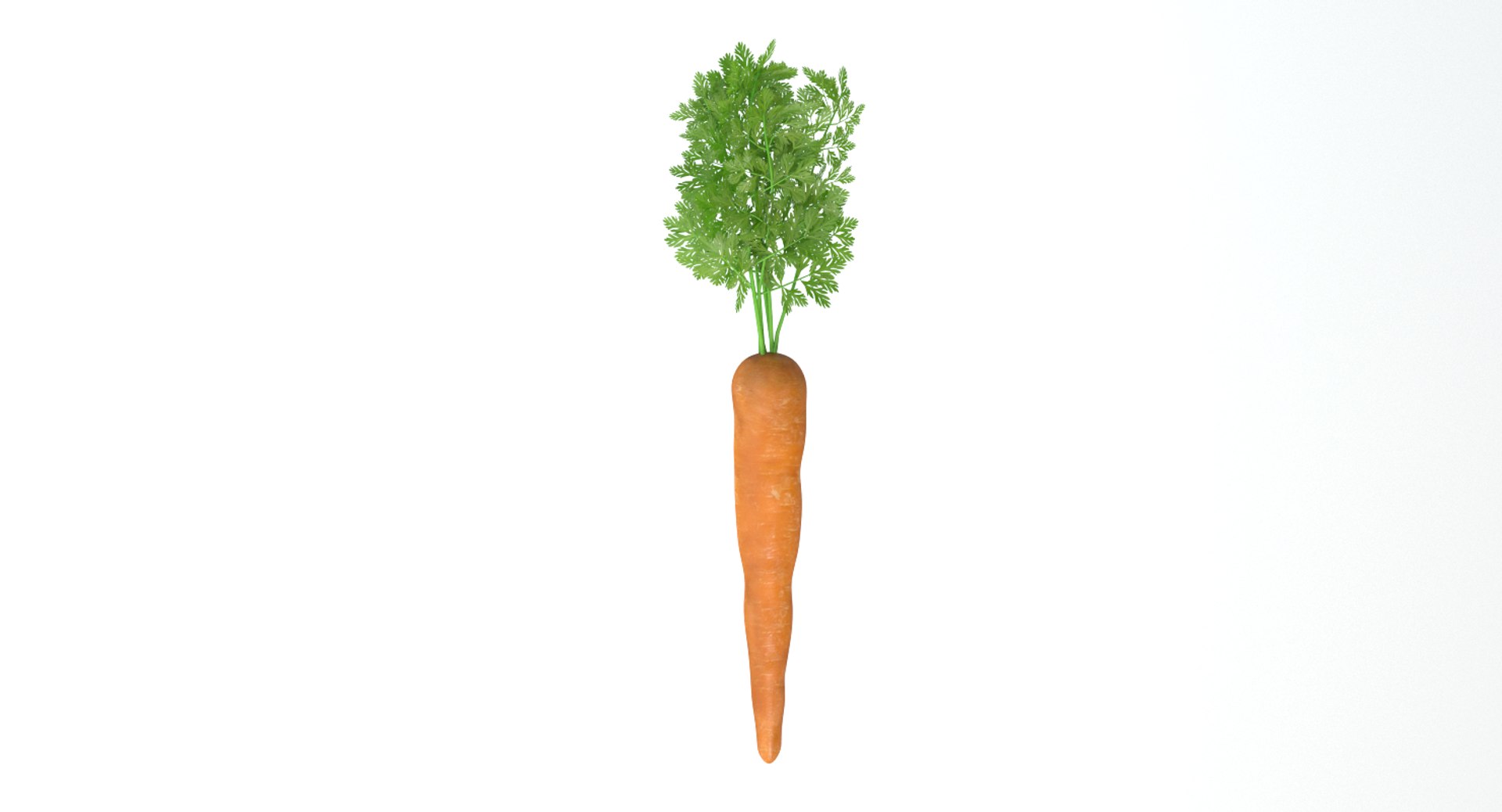 carrot vegetable max https://p.turbosquid.com/ts-thumb/D6/102Wrq/fQ69QtBh/thumbnail7/png/1429294944/1920x1080/fit_q87/f8470a59499d0ab91ee93ffb8d0a26bb1de27e24/thumbnail7.jpg