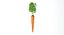 Carota 2