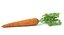 Carota 2