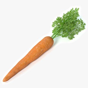 Carrot 2
