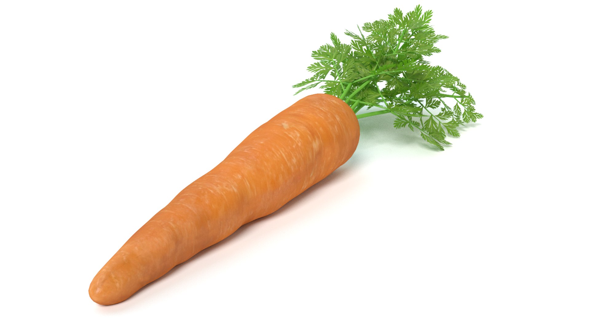 carrot vegetable max https://p.turbosquid.com/ts-thumb/D6/102Wrq/z7LxmS3z/thumbnail5/png/1429294944/1920x1080/fit_q87/a29b13d00a58485a543a0dbfa1d322c0aa5817ef/thumbnail5.jpg