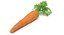 Carota 2